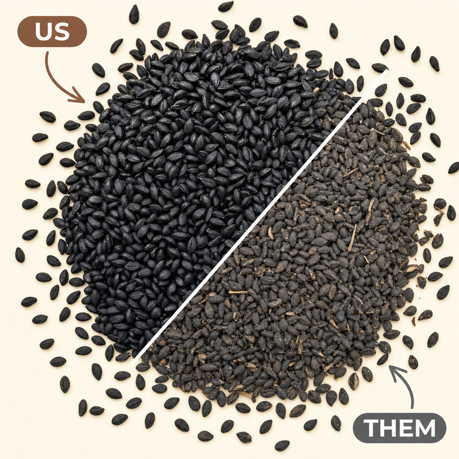 Premium Ethiopian black seed comparison
